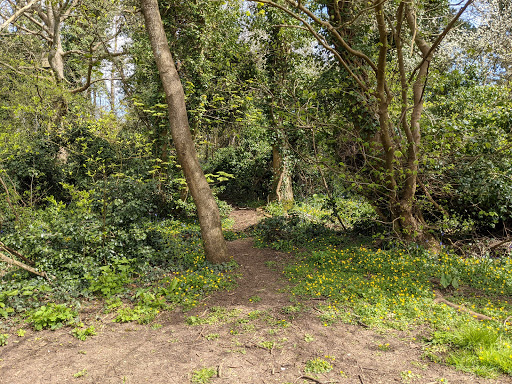 Ridge Wood LNR