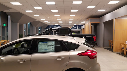Borgman Ford - Visual