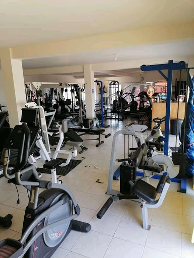 Pardini Gym - Visual