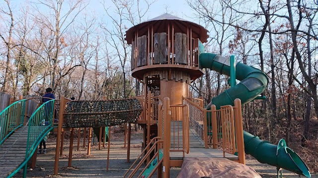 山梨県森林公園金川の森