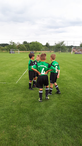 SV Sünching - Visual