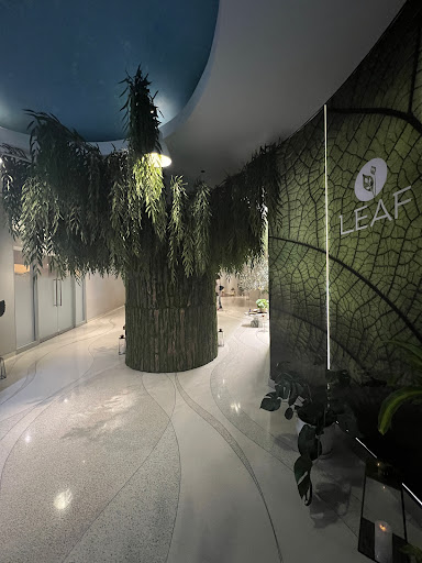 Leaf Spa Chicago - Thumbnail
