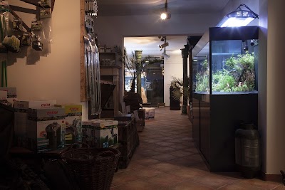 Photos of Atlantis Aquarium