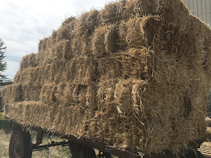 Photo n°1 de ETA AGR-AGRIRYAN à Garancières-en-Drouais (Siège social)