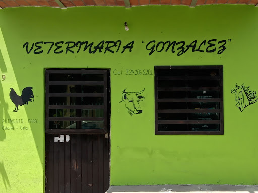 Veterinaria González