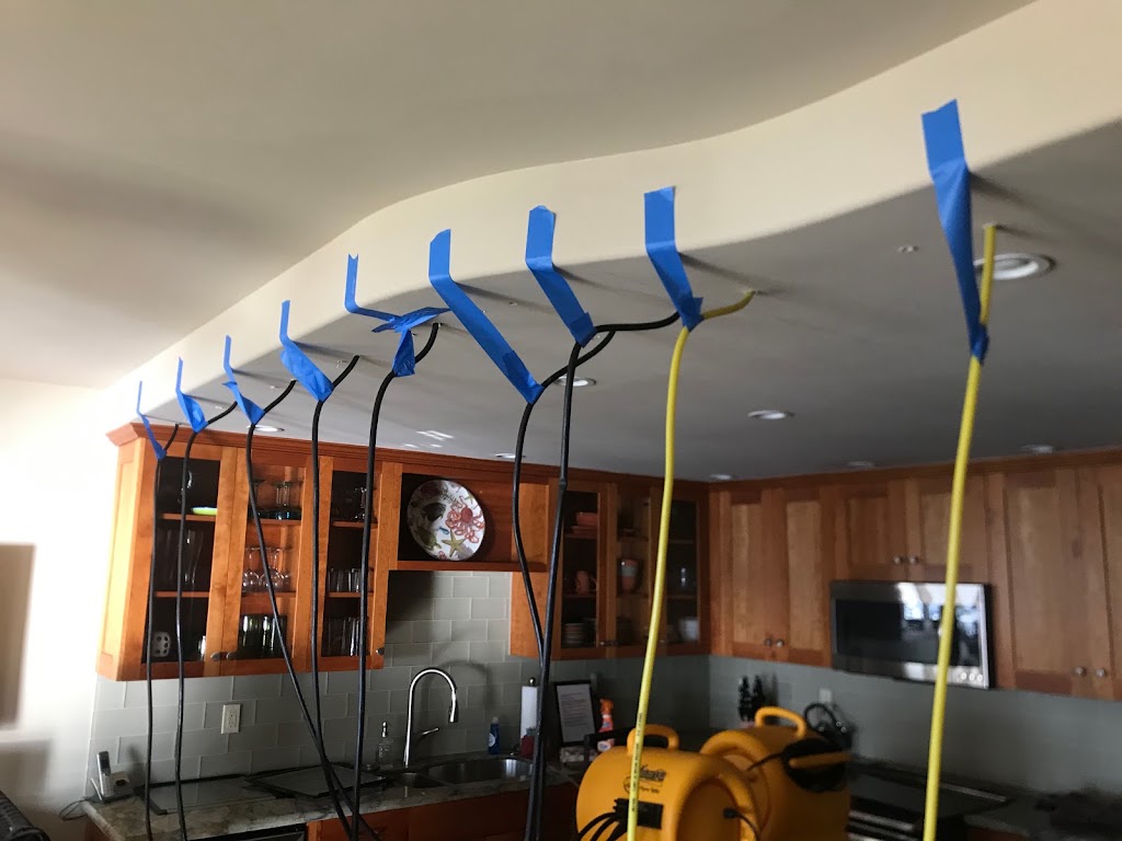 Flood Pro Maui photo