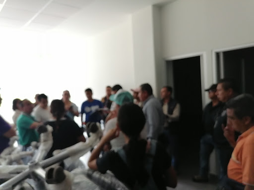 SEDE Judicial Ajalpan - Thumbnail