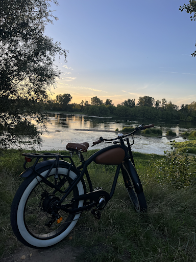 Royal Fat Bike - Thumbnail