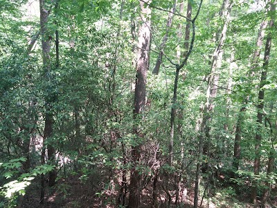 Photos of Tanglewood Cabins Lodge & Center