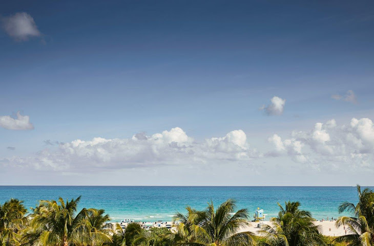 The Betsy Hotel by null