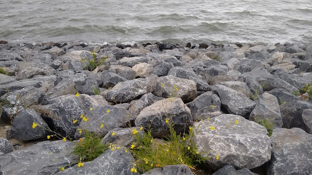 Strand Blijburg