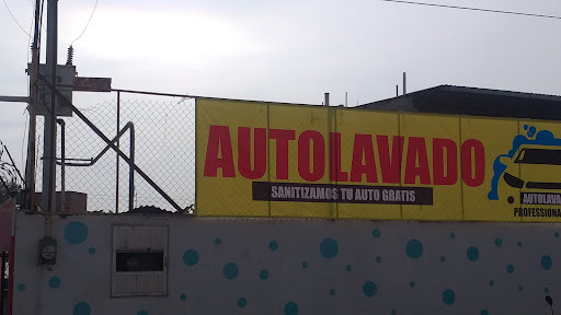 Proffesional clean - Visual