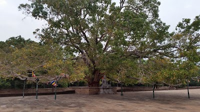 Photos of Abayagiriya Raja Maha Viharaya
