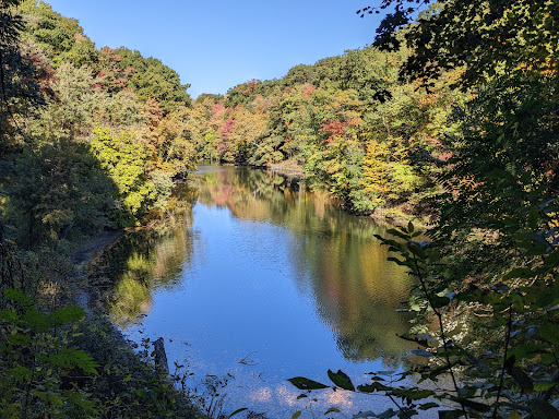 Glens Trail - Visual