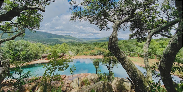 Leshiba Wilderness by null