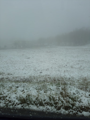 Rinascimento Cassino