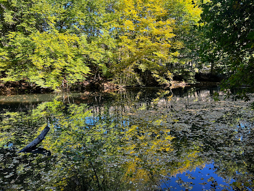 Herzbachweiher