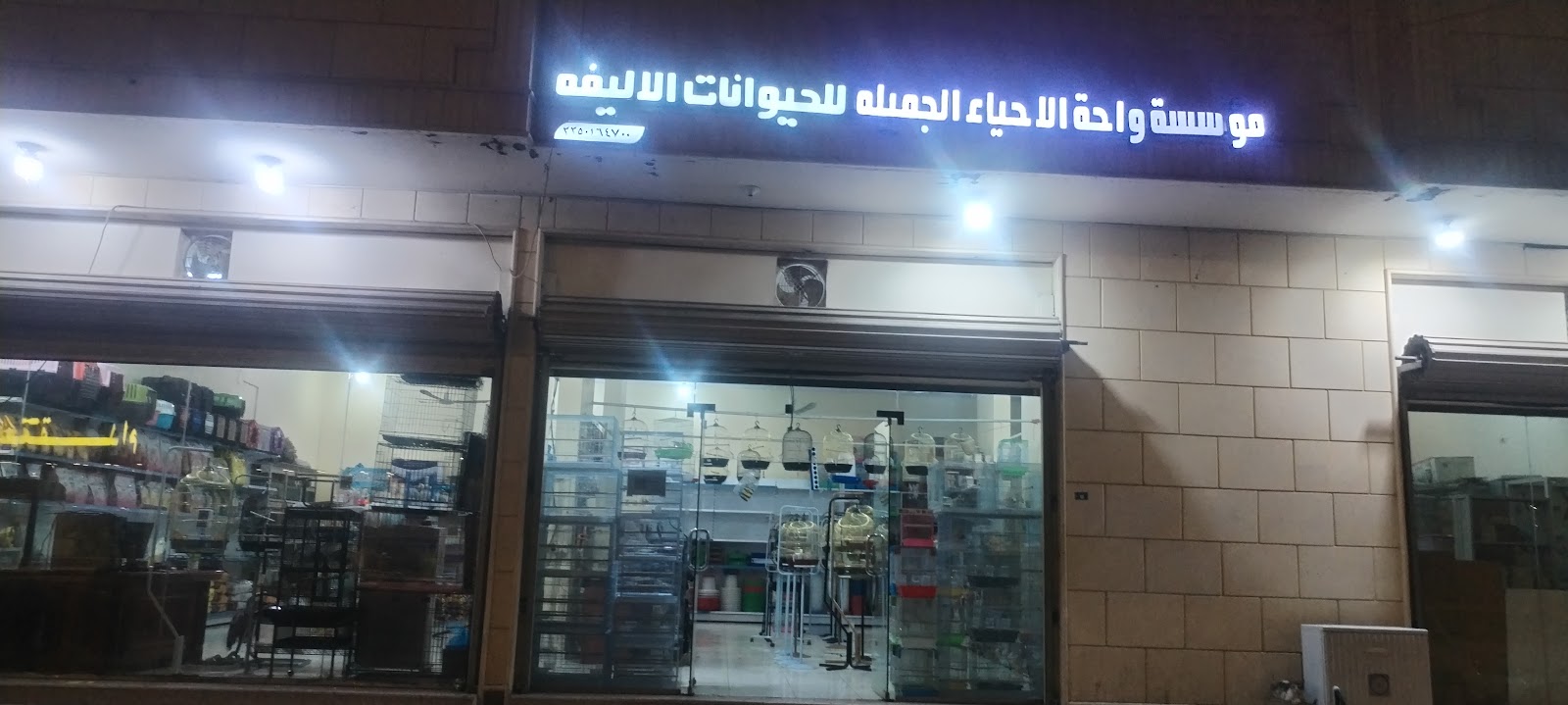 الغابة الأليفة - صورة 2