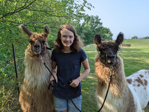 Carlson's Llovable Llamas Logo