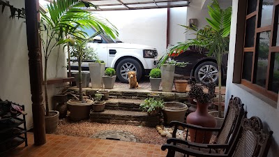 Photos of Randika's Paradise