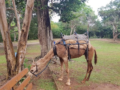 Photos of Yaaman Adventure Park