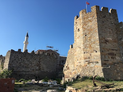 Fatih Camii