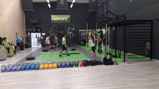 Lotofit | Forli' - Visual