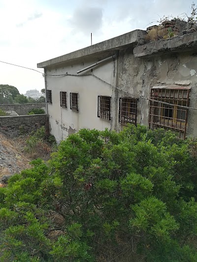 Photos of Capraia isola