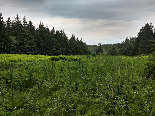 Parc des Buck - Thumbnail
