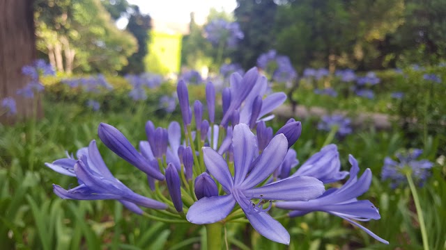 Parc del Laberint d'Horta