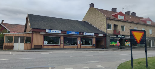 Vittsjö Blomsterhandel - Thumbnail