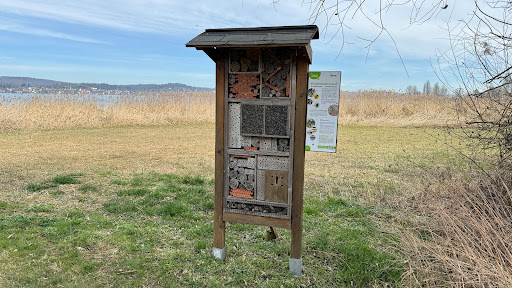 Insektenhaus Riedgiessen