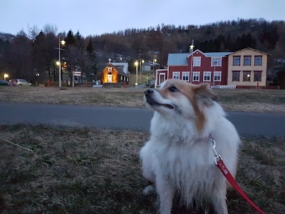 Photos of Nonnah&uacute;s