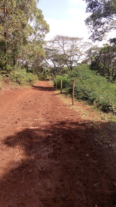 Photos of Kibiku Forest