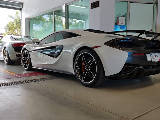 Maxxauto - Visual