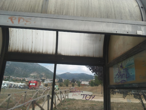 Viale Corrado IV bus stop
