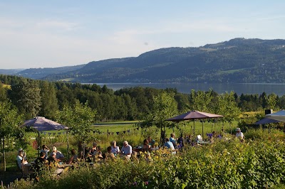 Photos of Svein Haug farm & historic guest house - good weather cafe