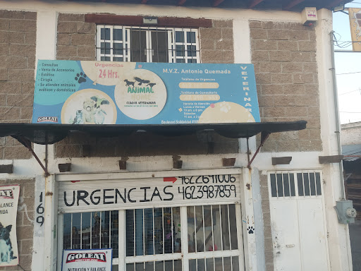 Animal Home Irapuato
