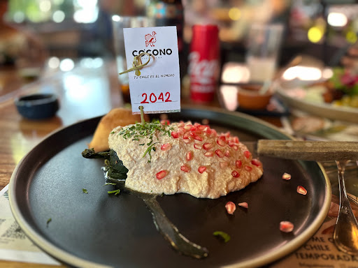Cocono - Visual