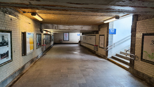 Friedberg - Visual