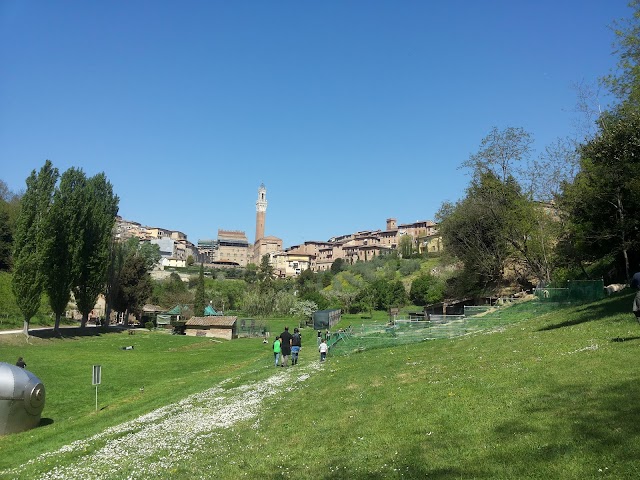Orto dei pecci