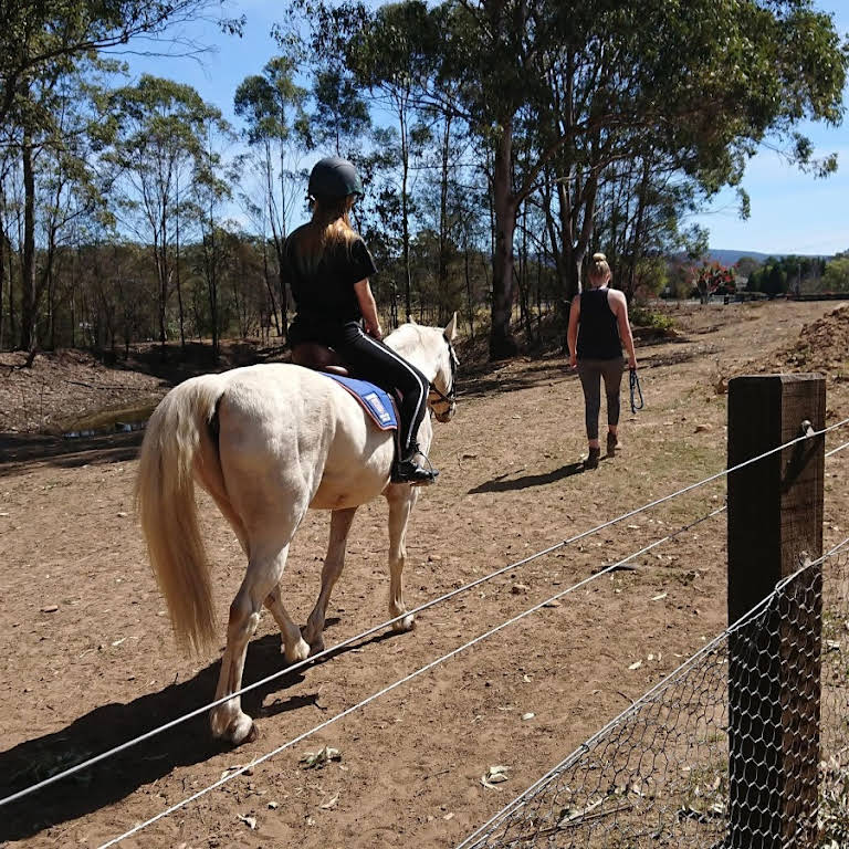 Rowebuck Stud Isfield Riding School and Stables opening times and