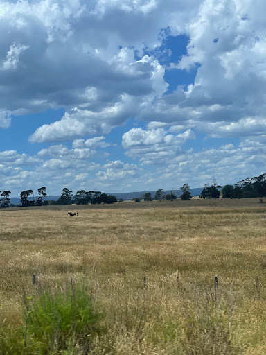 Maddingley Park - Visual