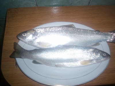 Photos of Restorant Leza