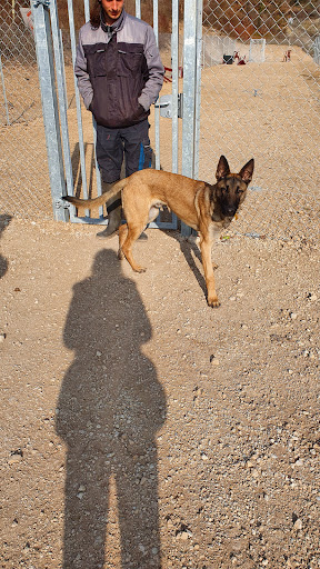 Refuge Canin Lotois - Thumbnail