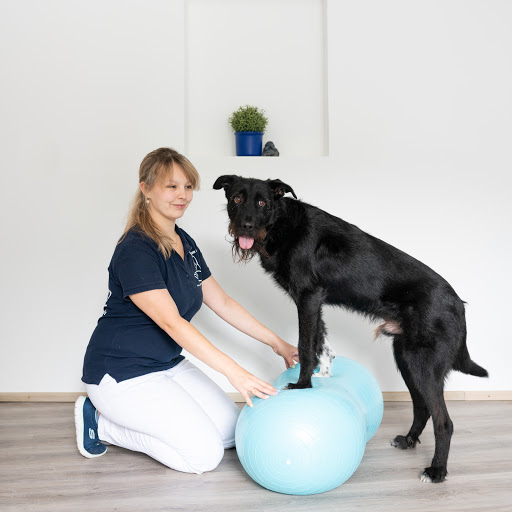 Tiertherapie Abel - Thumbnail