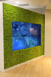 Photo n°5 de Agence Verdié Voyages - Agence de voyage à Paris à Paris (Voyagiste)