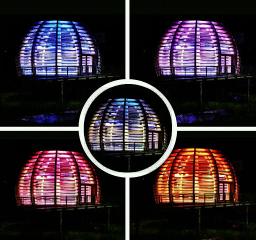 Forest Ball. A tribute to the sustainability of wood. - Thumbnail