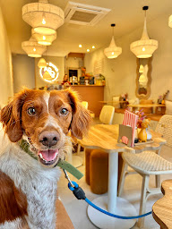 Photo n°29 de Appia Brunch kids & dogs friendly à Arras (Restaurant brunch)