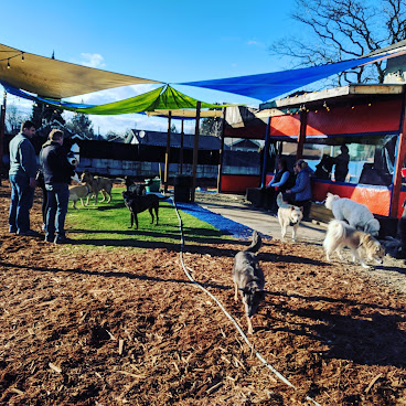 Voff Dog Park by null